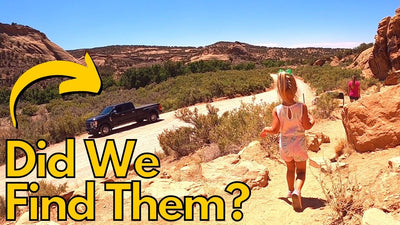 Did We Find Them? <br> Dinosaur National Park!